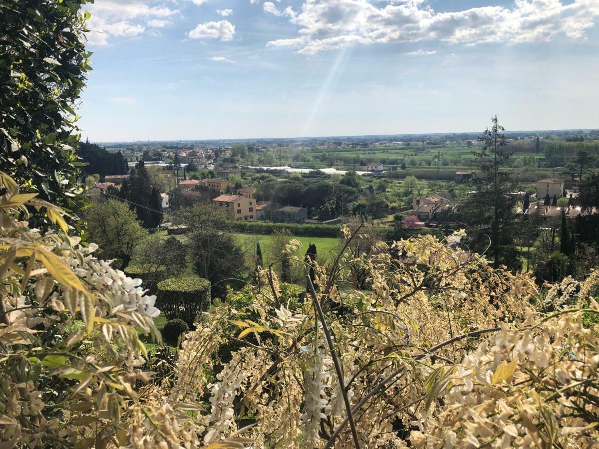Villa Alta - Residenza D'Epoca Con Piscina San Giuliano Terme Exterior foto