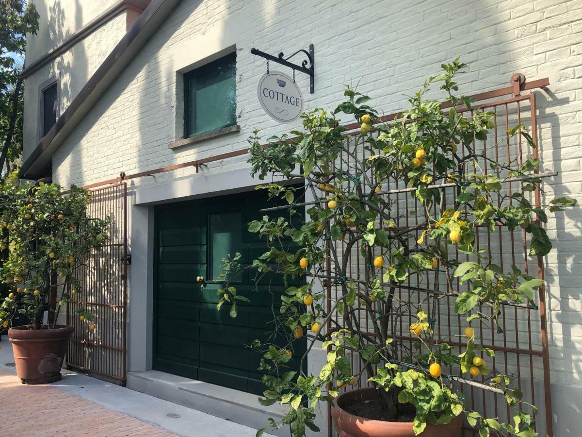 Villa Alta - Residenza D'Epoca Con Piscina San Giuliano Terme Exterior foto